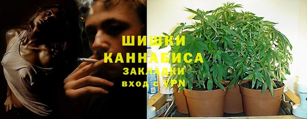 сатива Алзамай