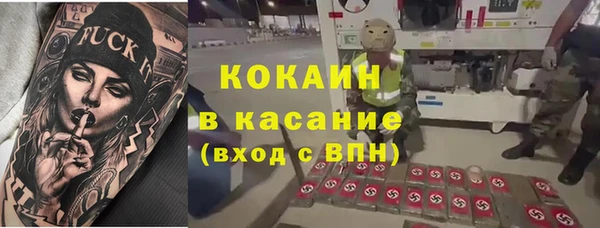 сатива Алзамай