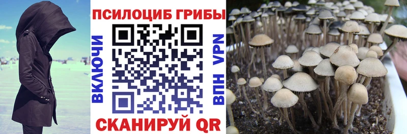 Псилоцибиновые грибы GOLDEN TEACHER  купить   площадка Telegram  Балабаново 